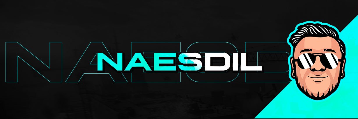Naesdil's profile banner image