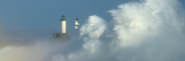 jerybis Profile Banner