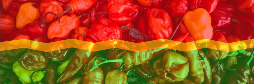Burrito Express's banner