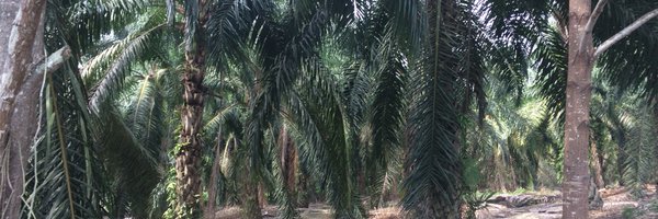 CaraMcAdams Profile Banner