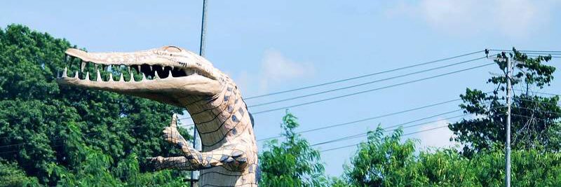 SANDAKANtwt's profile banner image