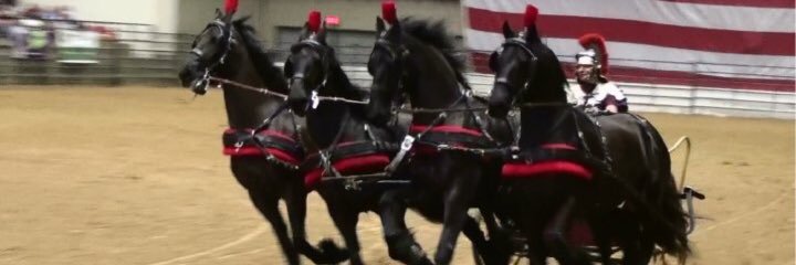 Jillsavesca's profile banner image
