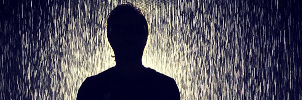 Foxmuller29 Profile Banner