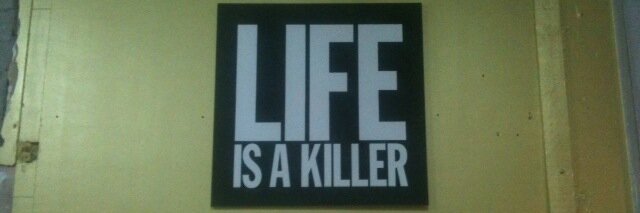 larastelli's profile banner image