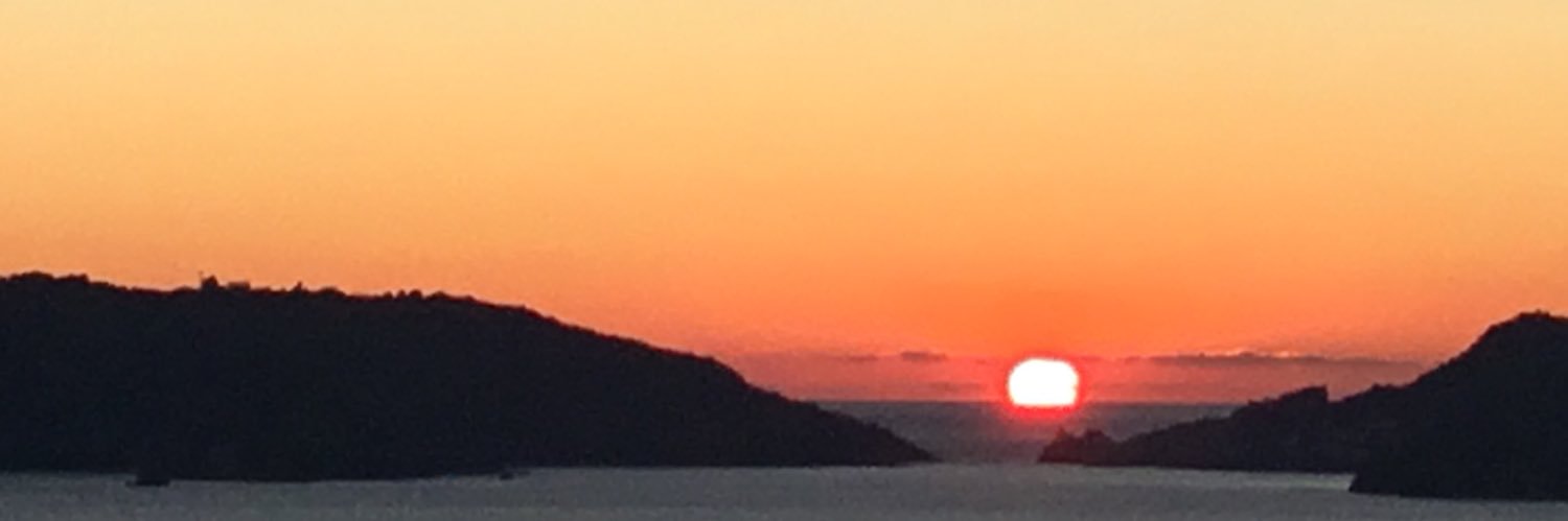 Dr Edana Minghella banner