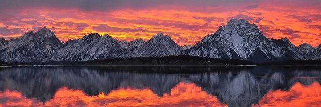 BlueThroughline banner