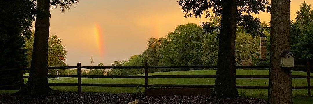 loranallensmith's profile banner image