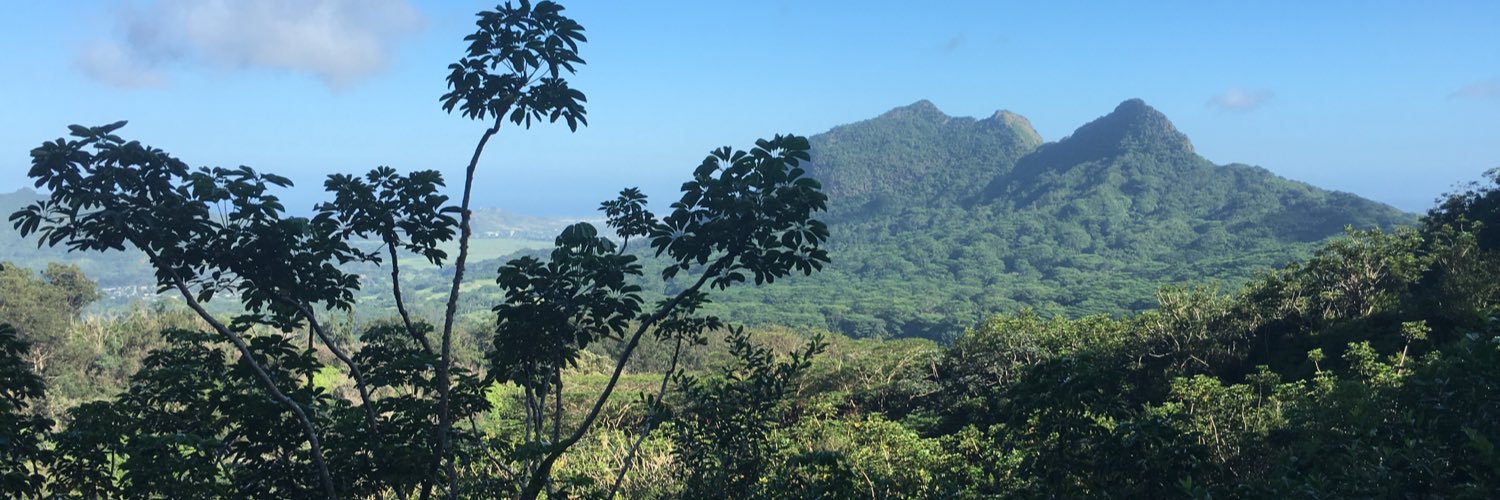 lanikaimel's profile banner image