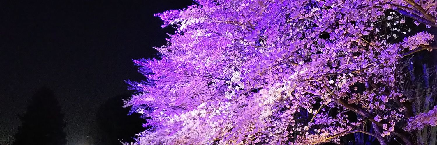 Quodimponeret's profile banner image