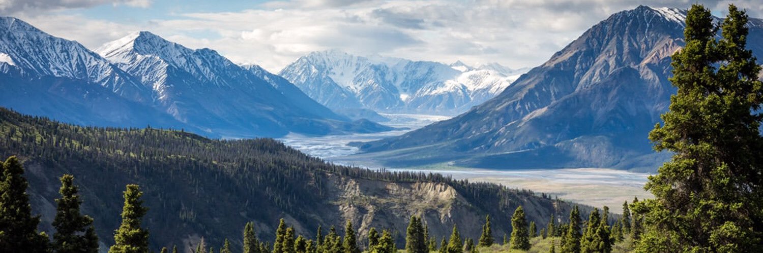 Laura Salgado banner