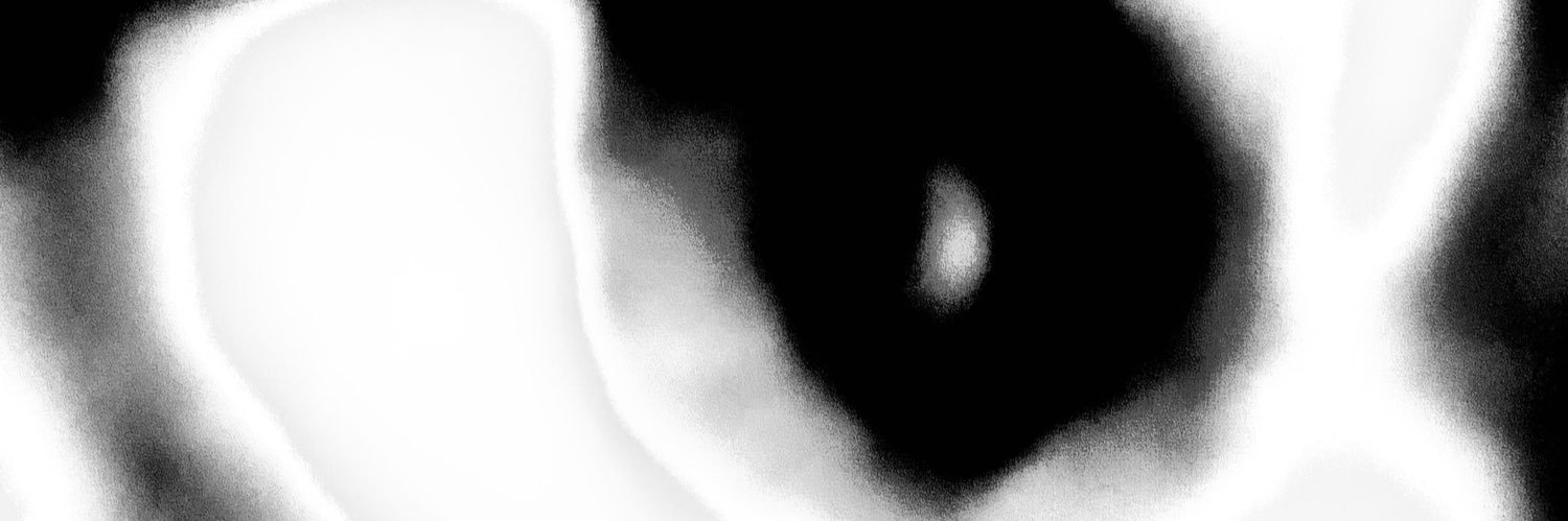 laynesworld's profile banner image