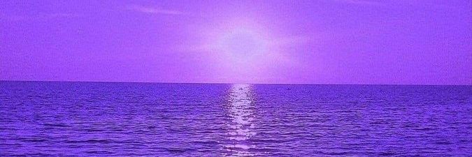 leviosadraco's profile banner image
