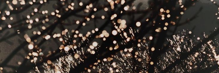swttjoss's profile banner image