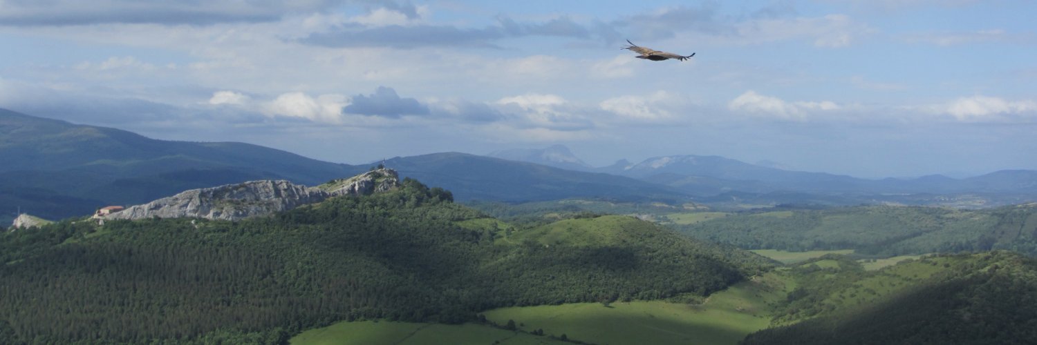 JonAnder_TT's profile banner image
