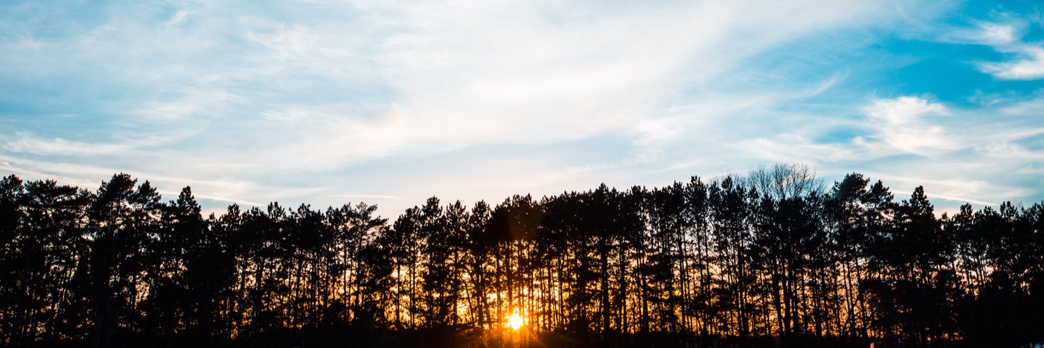 timberthrills's profile banner image