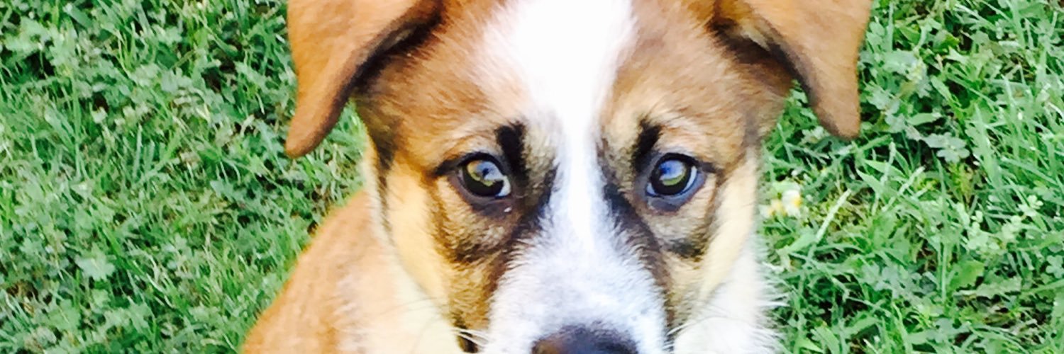 HopHeadFred's profile banner image