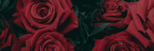 _joosediazz's profile banner image