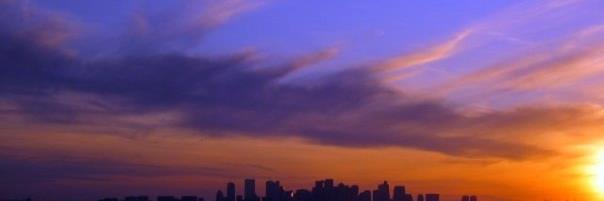 bee71dk's profile banner image