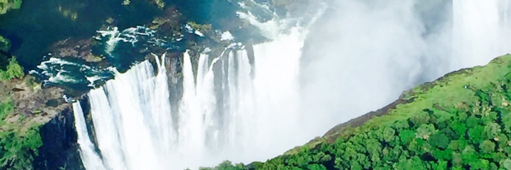 Therese O’Higgins (she/her) banner