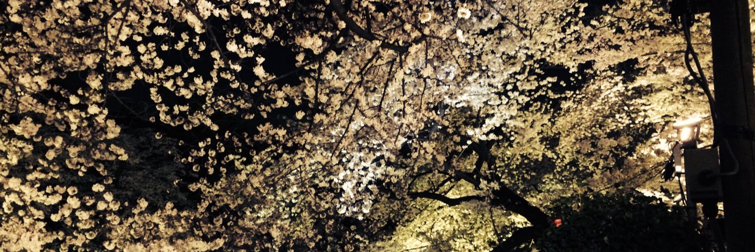 AyakoC's profile banner image