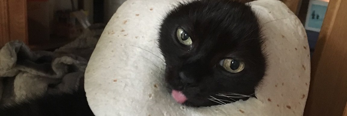 OdedFire's profile banner image