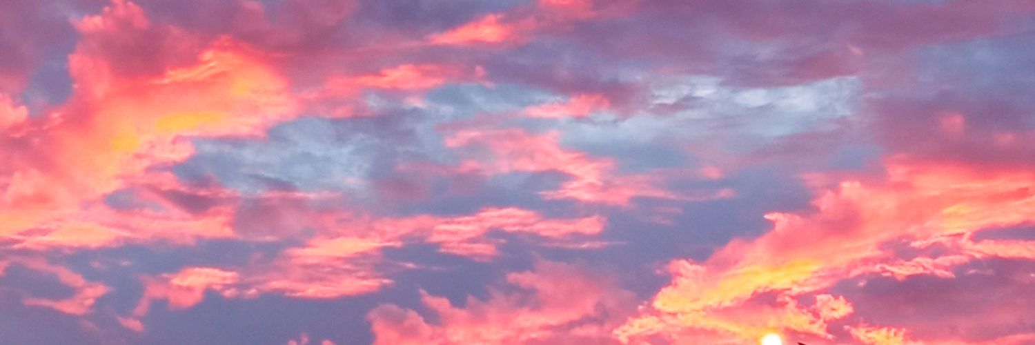 Mirandabbbb's profile banner image