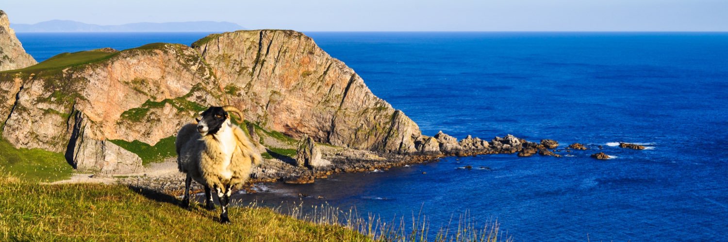 Dr. Guy McHendry banner