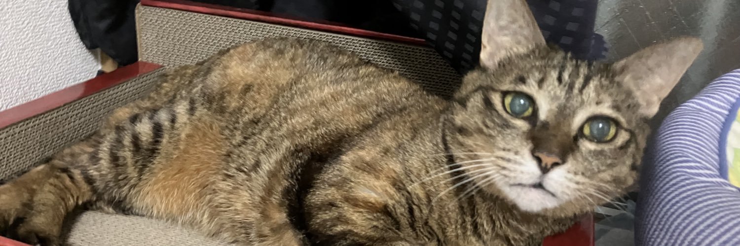 s0ra319's profile banner image