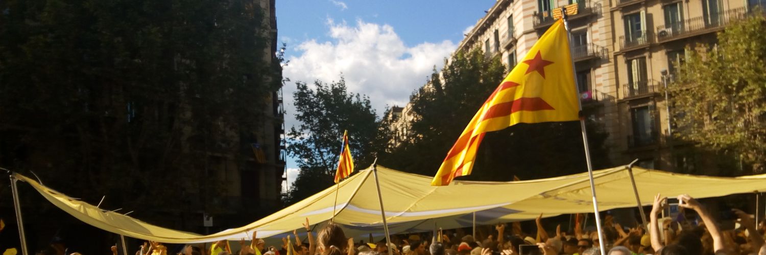 Mercè Teixidó Tàsies banner
