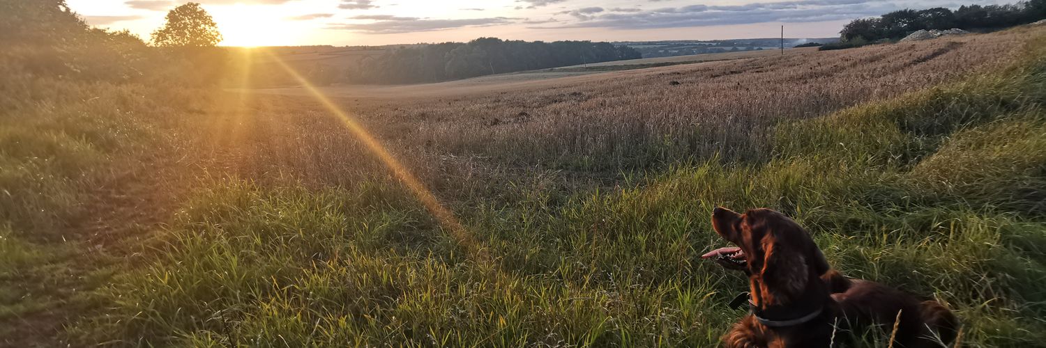 JustBenReally's profile banner image