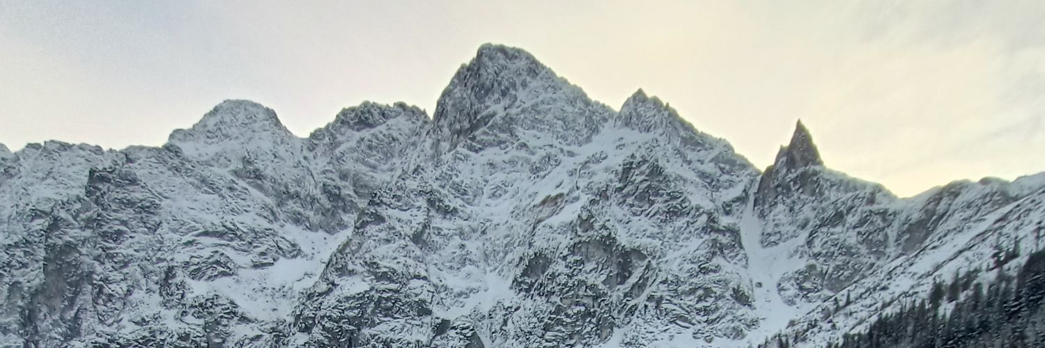 javicalifa9's profile banner image