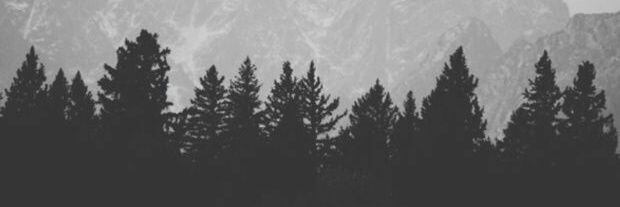 Dyecoy25's profile banner image