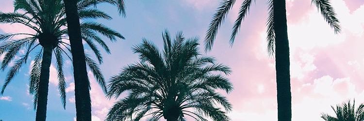 LiViMARA94's profile banner image