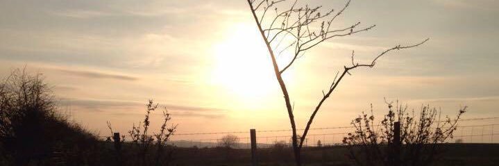 vickyF31's profile banner image