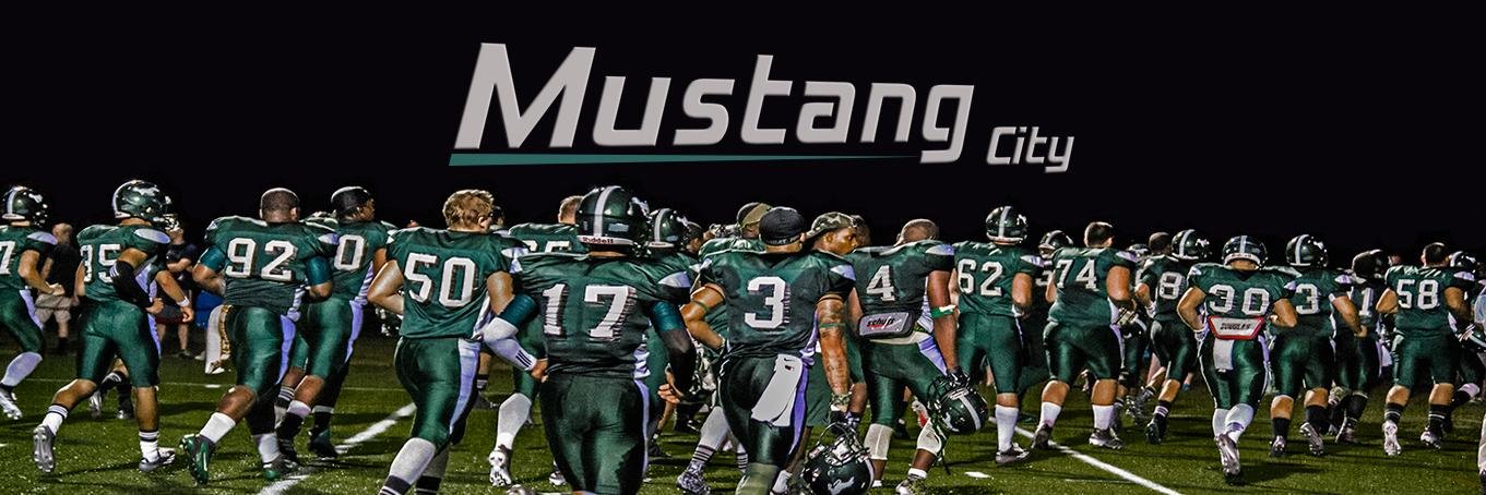 Mount Ida Football banner