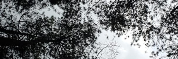 nnsrsty's profile banner image