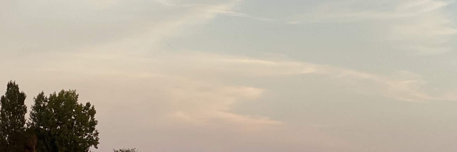 Rafik_Job's profile banner image