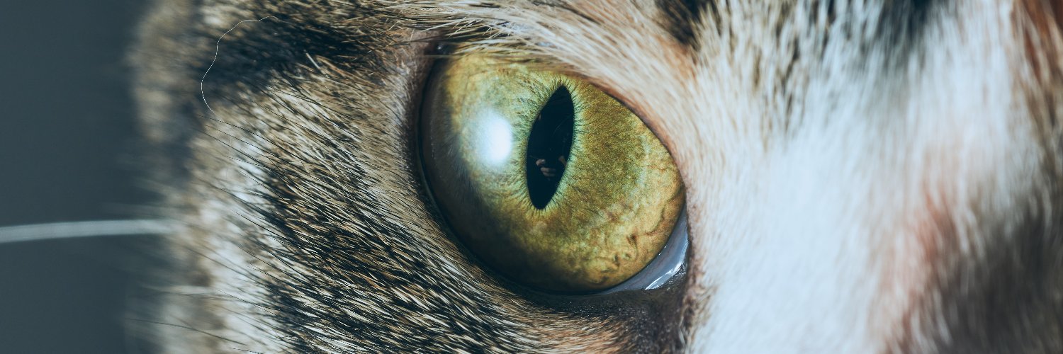 EsMiclos's profile banner image