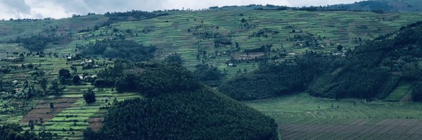 mililena Profile Banner