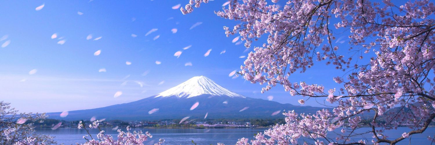 Qutat1917's profile banner image
