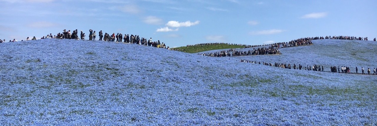 May🇺🇸L.A.🍣👩‍✈️🌽 banner