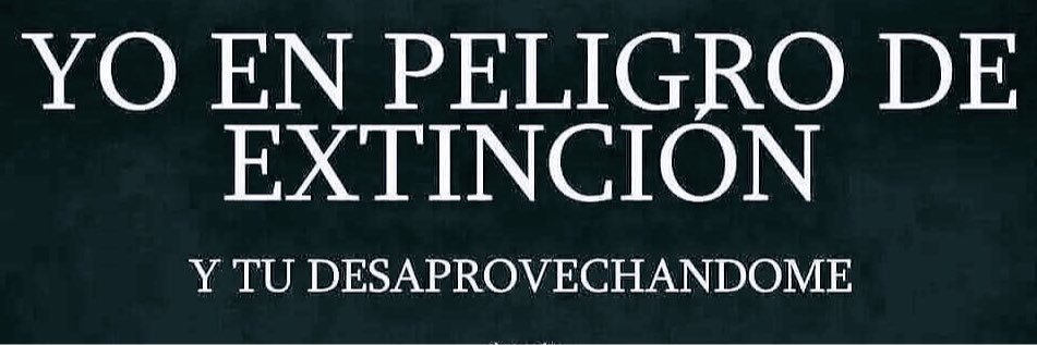 XoloYque's profile banner image