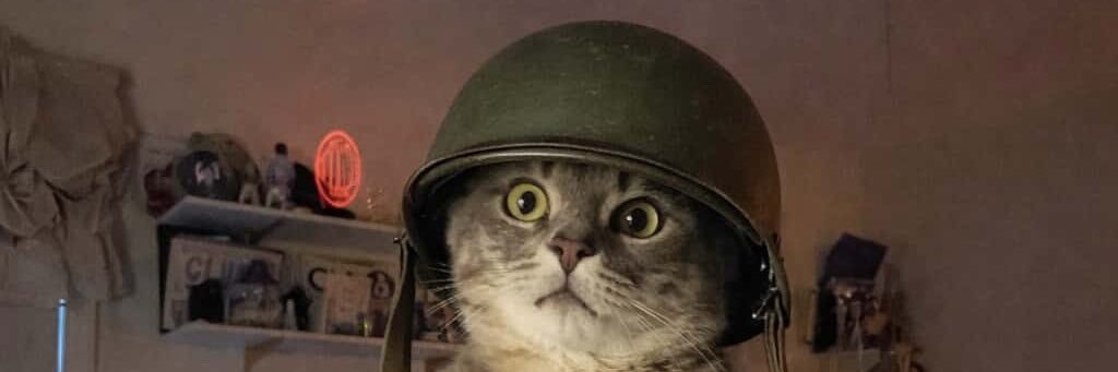 HaWhataLaugh's profile banner image