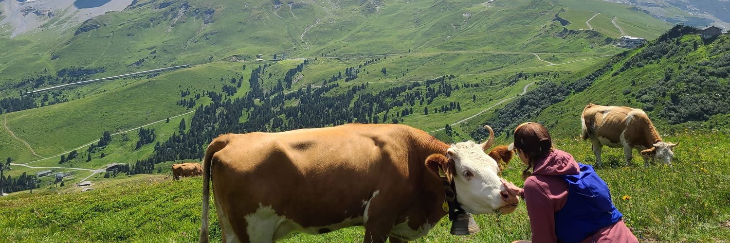 CRMHeidi's profile banner image