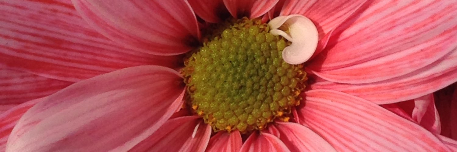 EmiEraca's profile banner image