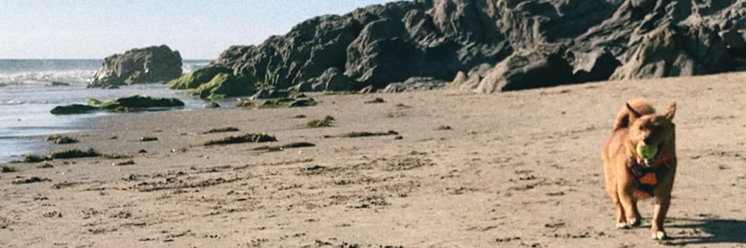 _kristne_'s profile banner image