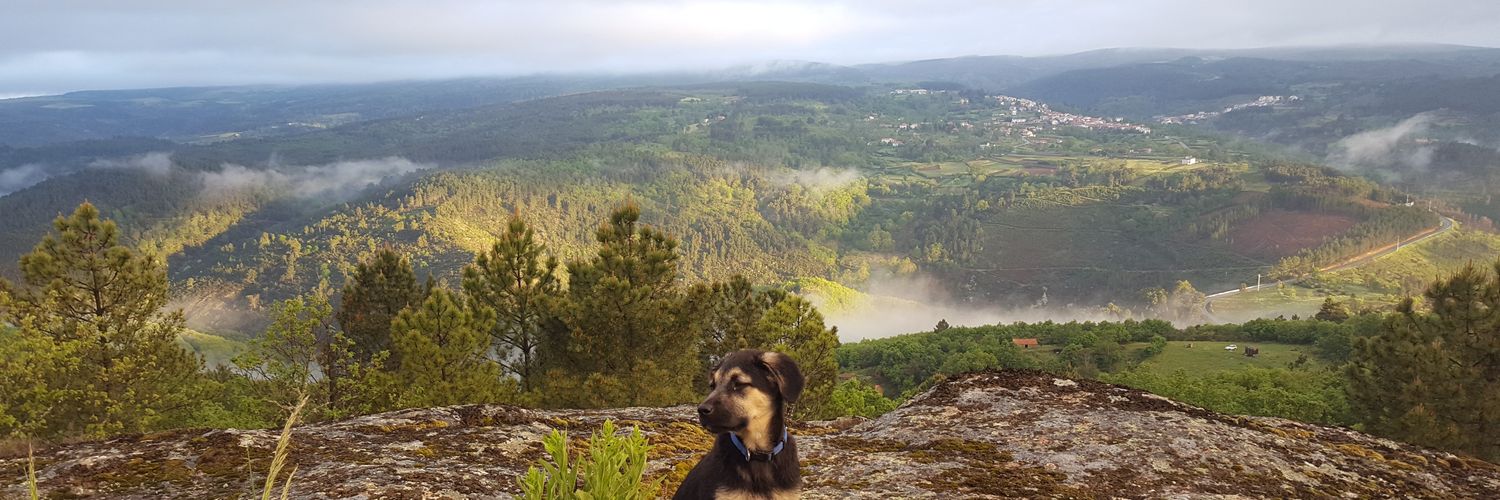 TheCramooz's profile banner image