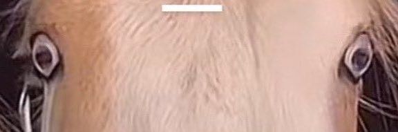 Nothing banner
