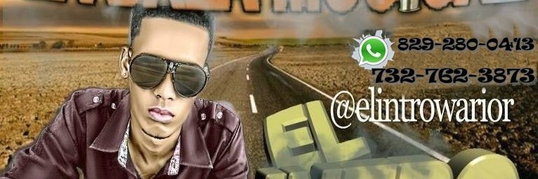 elintrowarior's profile banner image