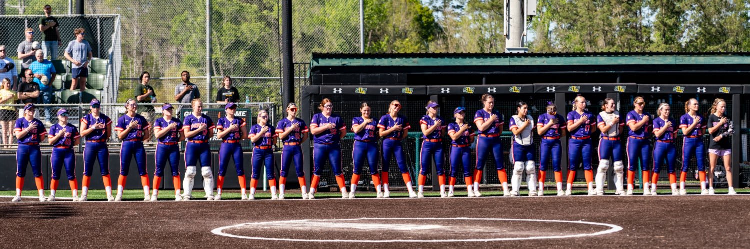 NSU Demons Softball banner